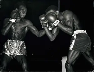 Dynamite: Boxing