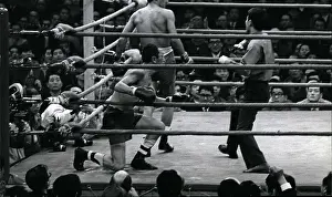 Pounded: Boxing
