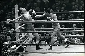 Pounded: Boxing