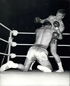 Bodell: Boxing