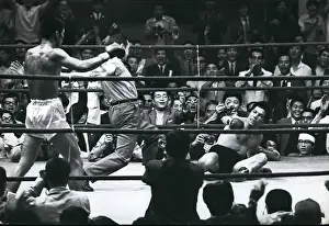 Erupted: Boxing