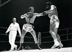 Lopopolo: Boxing