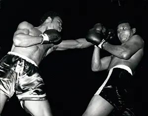 Vicente: Boxing