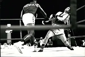 Cardin: Boxing