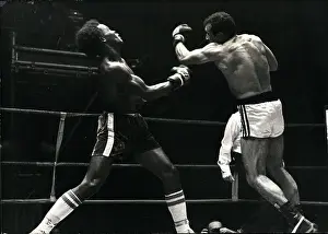 Elisha: Boxing
