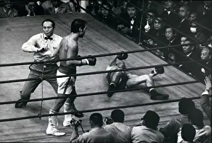 Rican: Boxing