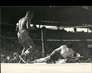 Bassett: Boxing