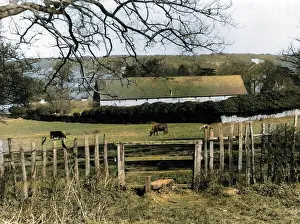 Barnaby (colourised): BOXLEY ABBEY
