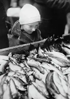 Fishmonger: A boy admires the products of a Parisian