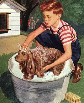 Soaps: Boy Bathes Dog in Tub