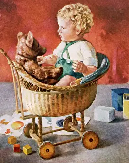 Braces: BOY & BEAR IN BASKET