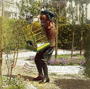 Birdcages: Boy with birdcage