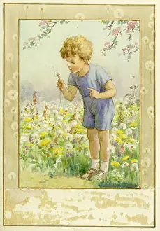 Dandelions: Boy blowing on a Dandelion Clock