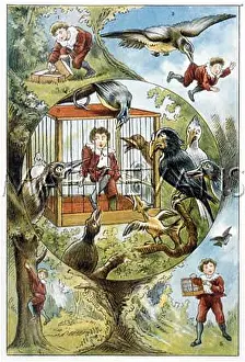 Thoughtless: BOY IN CAGE