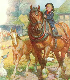 Carthorse: Boy on carthorse