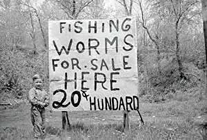 Ozark: Boy - child - fishing - occupations