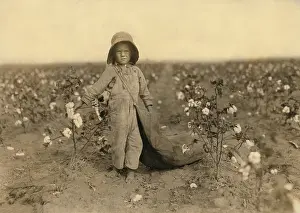 Picker: Boy - child labor - occupations