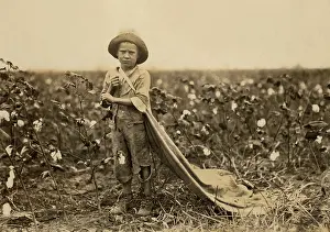 Picker: Boy - child labor - occupations