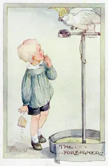 Cockatoo: BOY WITH COCKATOO 20C