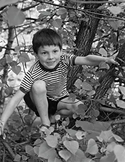 Boy crouching in the branches of a tree