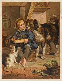 Reluctantly: BOY, DOG AND CAT