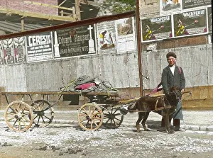 Bridles: Boy with dog and wagon