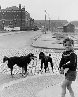 Cobblestones: Boy and dogs, Salford, Greater Manchester