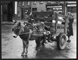 Wellies: BOY ON A DONKEY CART