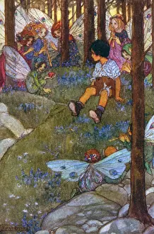 Florence Susan Harrison Collection: A boy is enchanted by the fairies of the forest