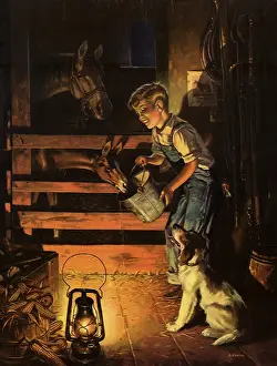Feeds: Boy feeds Young Horse