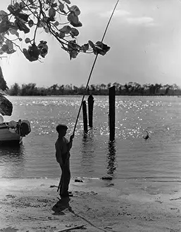 Prawns: Boy fishing prawns