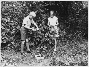 Trug: BOY/GIRL PICK FRUIT 1950