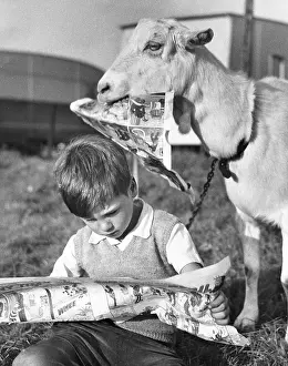 Caravans: Boy and goat with comic magazine