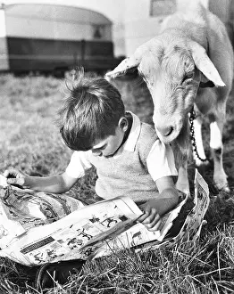 Caravans: Boy and goat with comic magazine