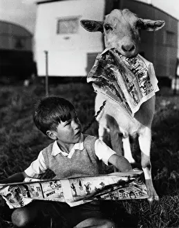Caravans: Boy and goat with comic magazine