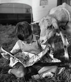 Caravans: Boy and goat with comic magazine