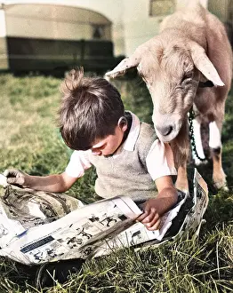 Caravans: Boy and goat with comic magazine