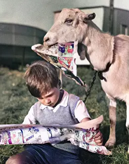Caravans: Boy and goat with comic magazine