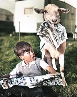 Caravans: Boy and goat with comic magazine
