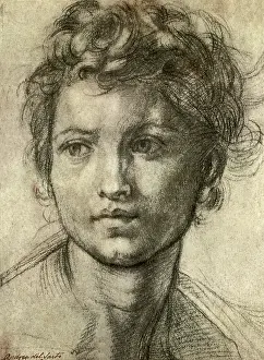 1520s: Boy with Head Turned, by Andrea del Sarto