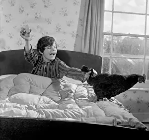 Monmouthshire: A boy holds an egg in one hand and his pet hen in the other
