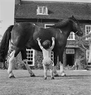 Munden: Boy and horse