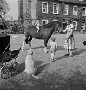 Munden: Boy and horse