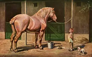 Barnyard: Boy and Horse Take Stock