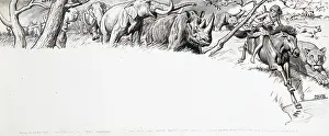 Sheppard: Boy on a horse with wild animals