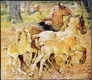 Equine: BOY WITH HORSES