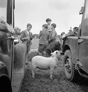Creech: Boy With Lamb
