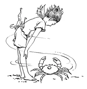 Crabs: Boy looking at crab