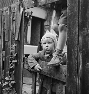 Wooly: Boy looking through fence