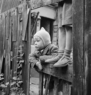 Wooly: Boy looking through fence
